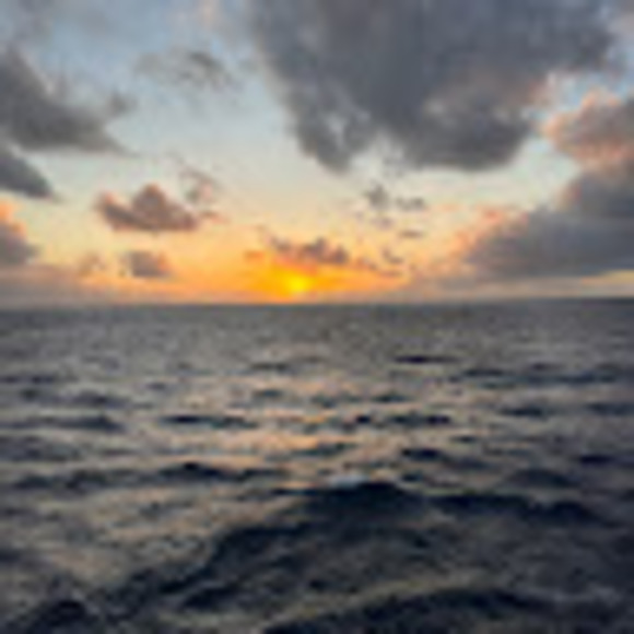 Meet your Posher, Joanna - Picture 1 of 1